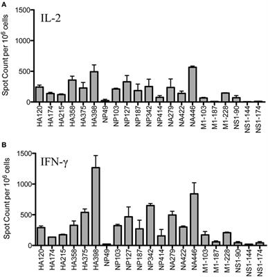 Diverse Epitope Specificity, Immunodominance Hierarchy, and Functional Avidity of Effector CD4 T Cells Established During Priming Is Maintained in Lung After Influenza A Virus Infection